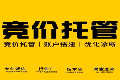 行业趋势下的SEM推广竞价代运营策略